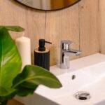 dornbracht - Stylish bathroom sink with plant and accessories in Bratislava.