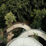 skywalk allgäu - Aerial view of a curving wooden walkway in a lush forest in Bojnice, Slovakia.
